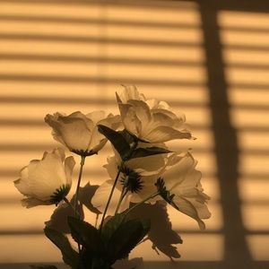 Meet your Posher, Krystal